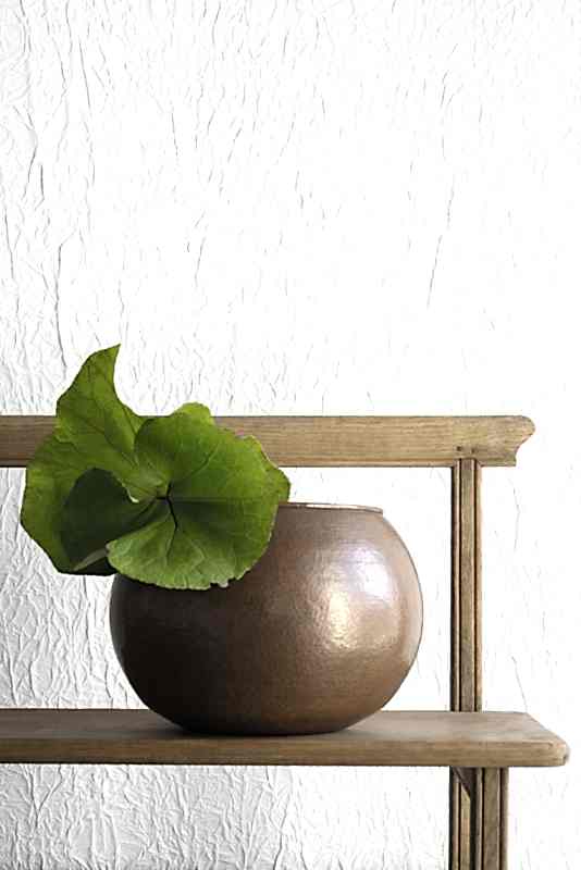 Splendeurs d'une favorite RM221/02