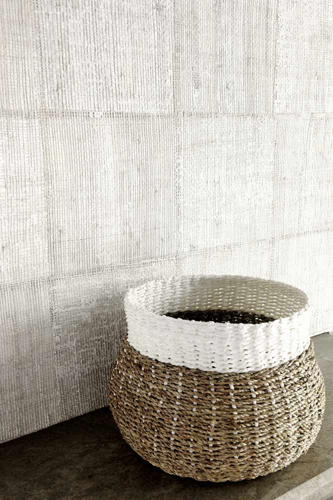 EPURE PACHIRA RM666/04