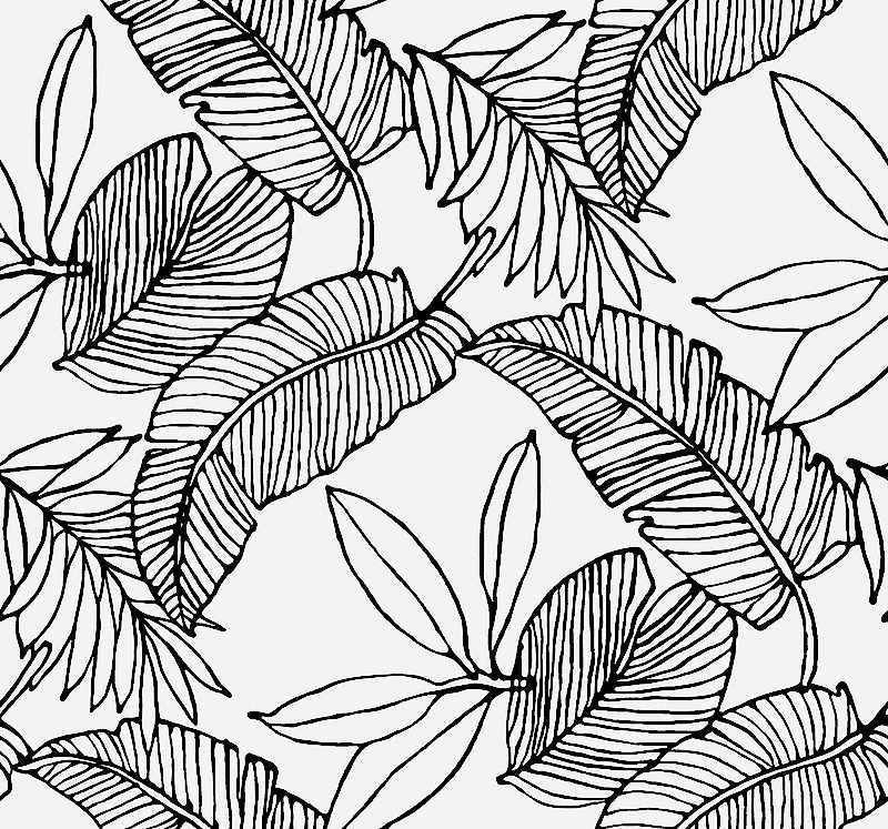 Pure Elements sy20210