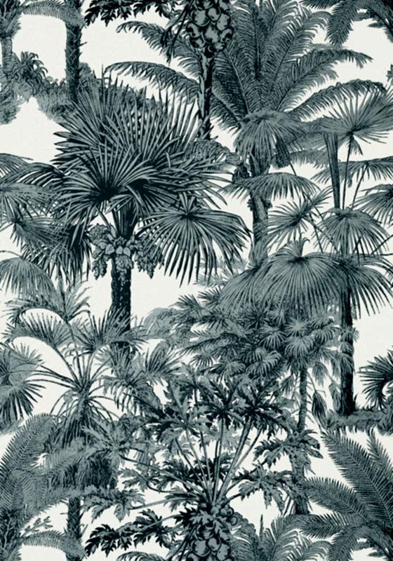 PALM BOTANICAL T10104