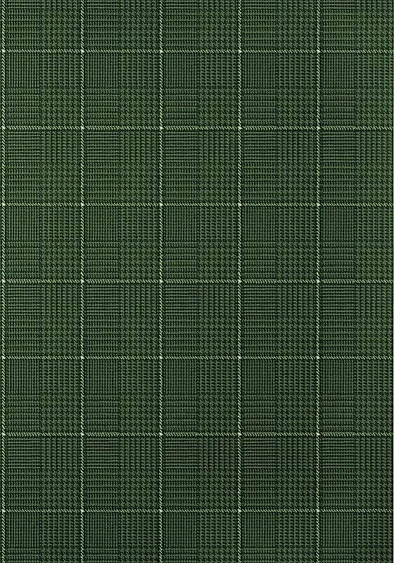 GRASSMARKET CHECK T10202