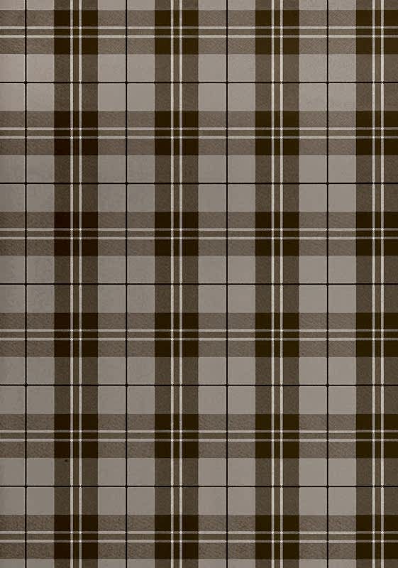 WINSLOW PLAID T1026