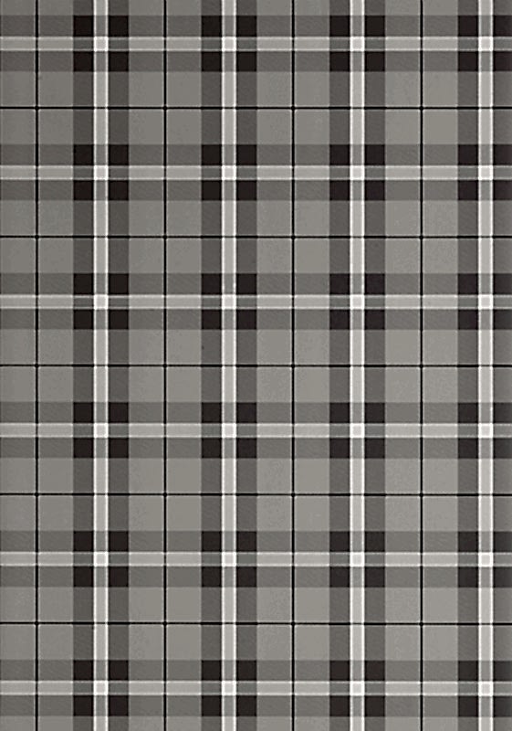 WINSLOW PLAID T1027