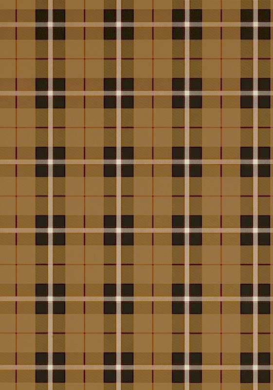 WINSLOW PLAID T1028