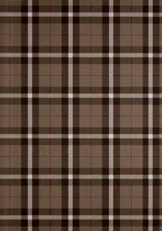 WINSLOW PLAID T1031