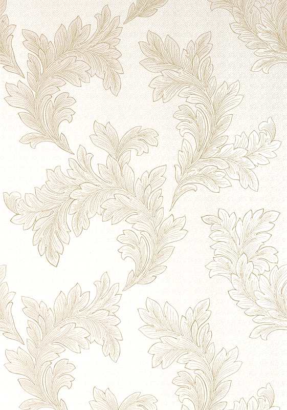 ELAND ACANTHUS T1055