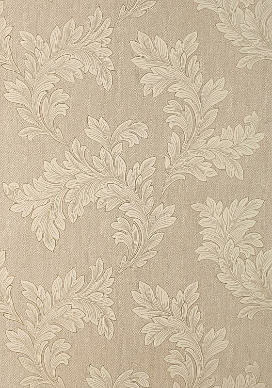 ELAND ACANTHUS T1056