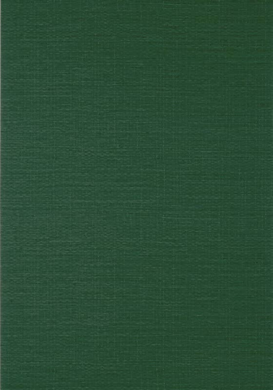 Prairie Weave T10938