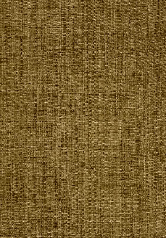 CAROLINA RAFFIA T13039