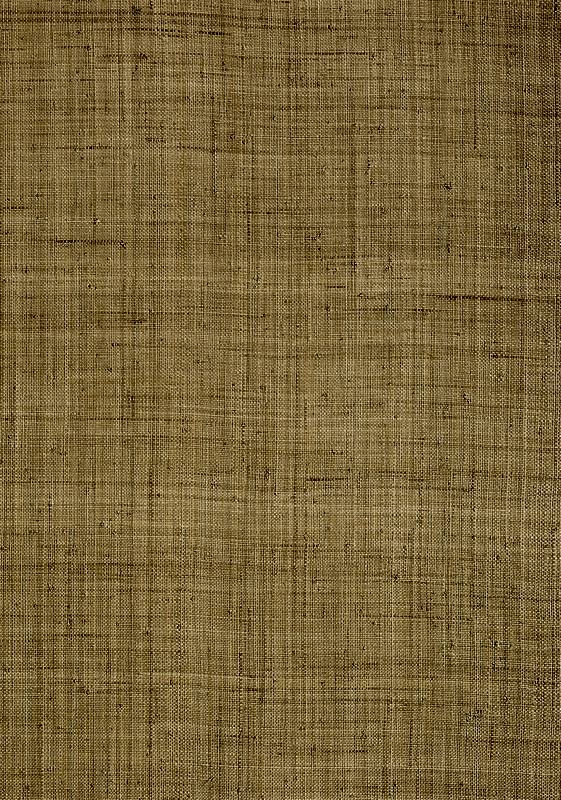 CAROLINA RAFFIA T13040