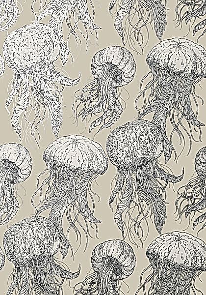 JELLY FISH BLOOM T13169