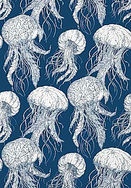 JELLY FISH BLOOM T13171