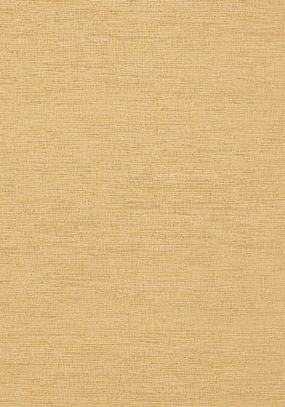 COASTAL SISAL T14105