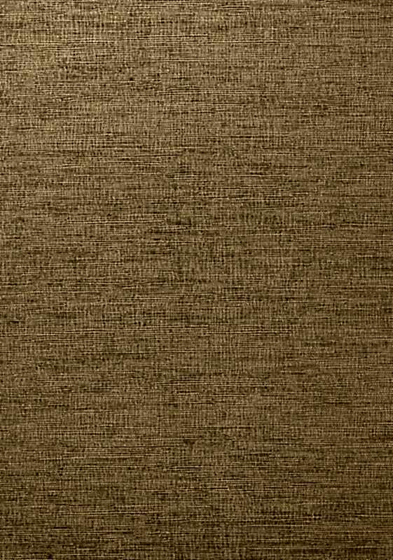 COASTAL SISAL T14110
