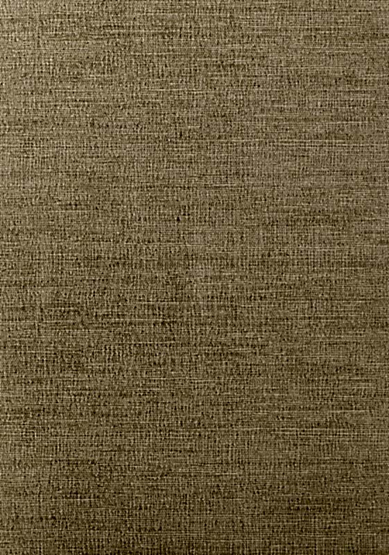 COASTAL SISAL T14111