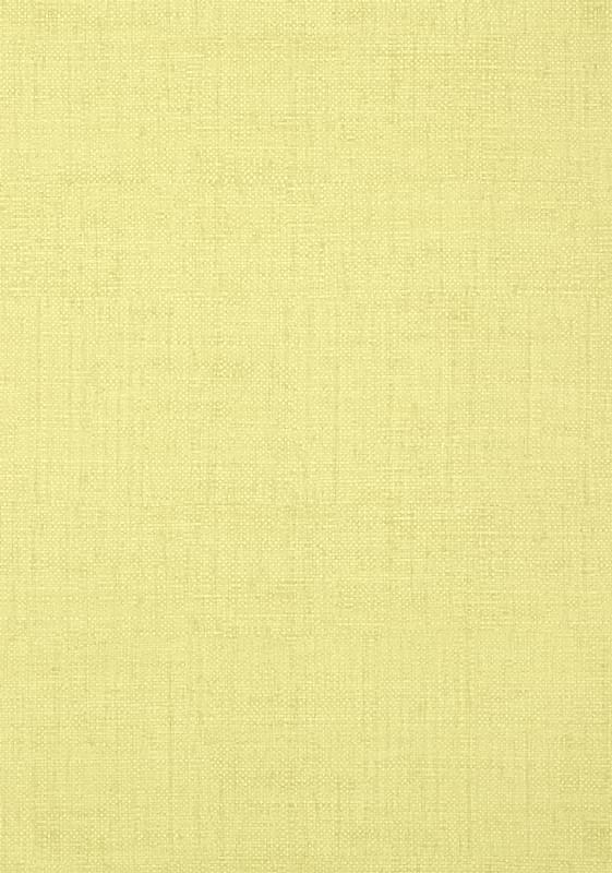 BANKUN RAFFIA T14142