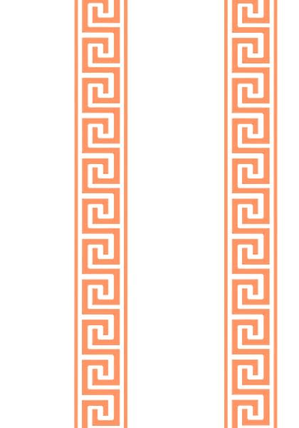 ANDREAS STRIPE T14243