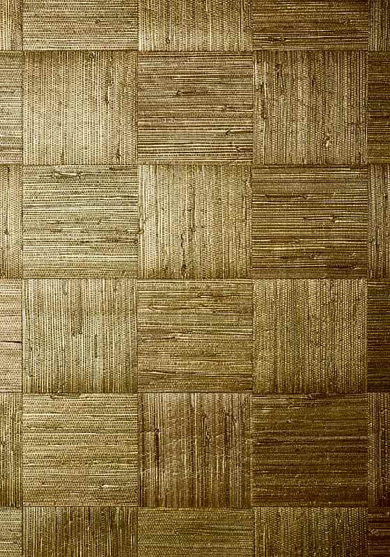 Mosaic Weave T24075
