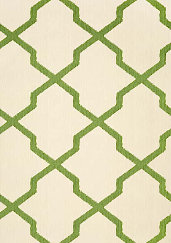 MYANMAR TRELLIS T36134