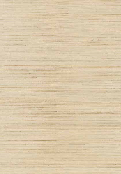 WINDWARD SISAL T3664