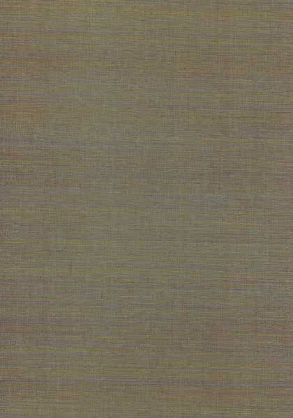 WINDWARD SISAL T3668