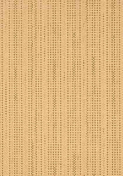 SANTA BARBARA T41105