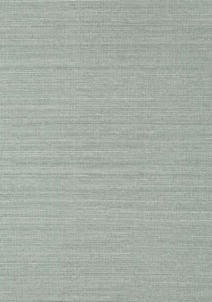 SHANG EXTRA FINE SISAL T41168