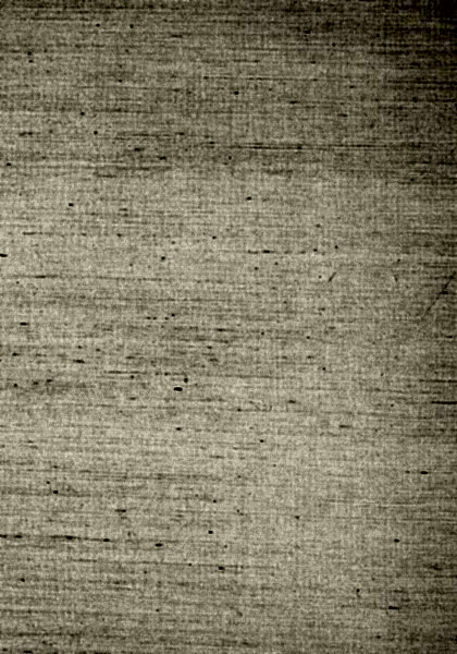 SHANG EXTRA FINE SISAL T41170