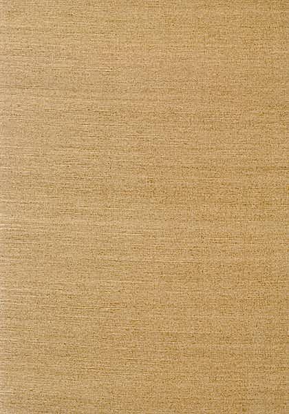 SHANG EXTRA FINE SISAL T41172