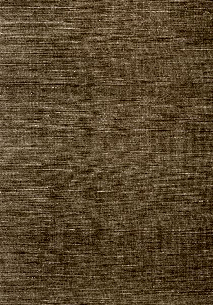 SHANG EXTRA FINE SISAL T41174