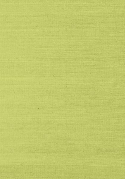 SHANG EXTRA FINE SISAL T41181