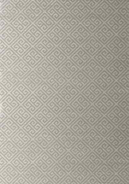 MAZE GRASSCLOTH T41199