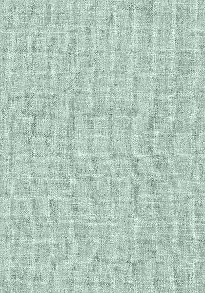 BELGIUM LINEN T57134