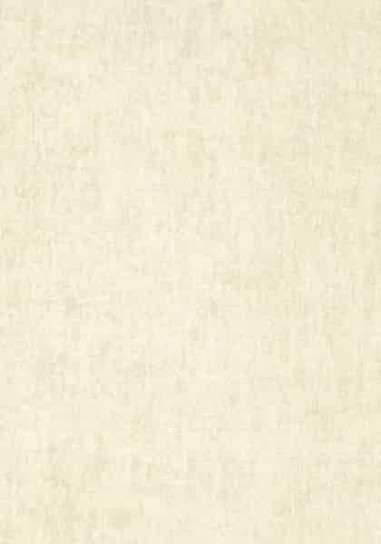BELGIUM LINEN T57137