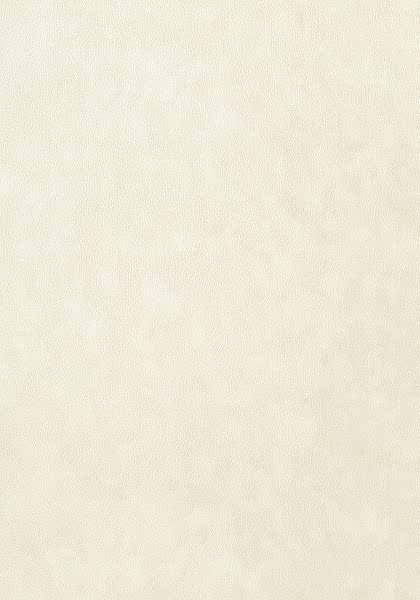 WESTERN LEATHER T57158