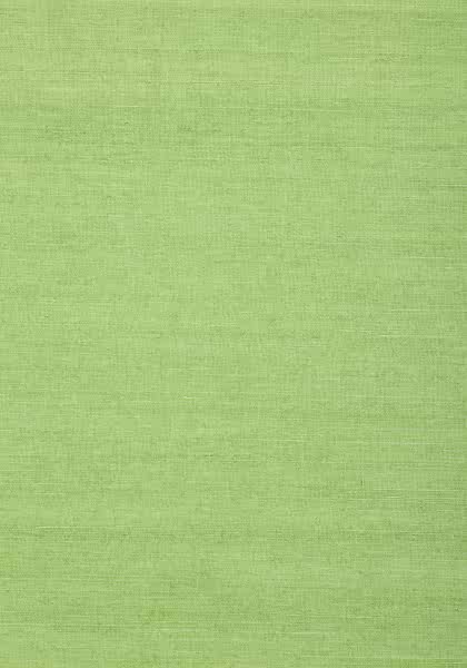 SHANG EXTRA FINE SISAL T72832