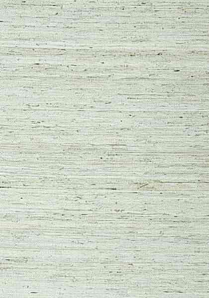 MARANTA ARROWROOT T85003