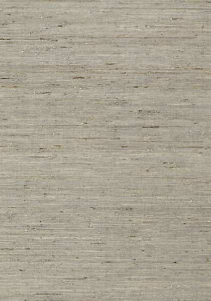 MARANTA ARROWROOT T85005