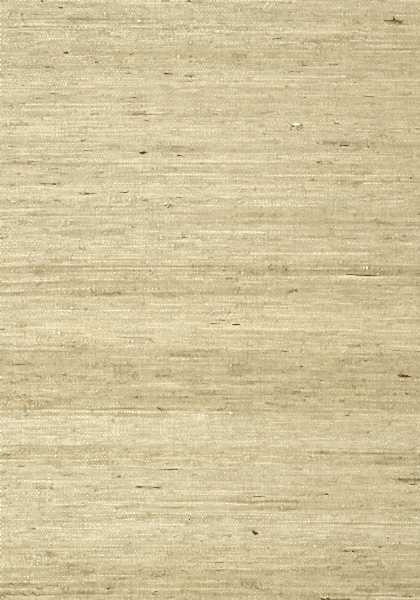 MARANTA ARROWROOT T85006