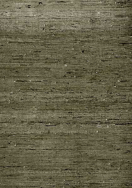 MARANTA ARROWROOT T85008