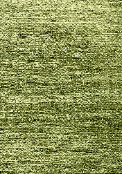 MARANTA ARROWROOT T85012