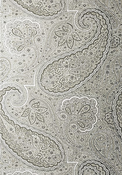 SHERRILL PAISLEY T85081