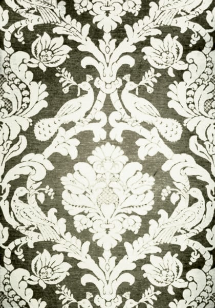 PASSARO DAMASK T89135