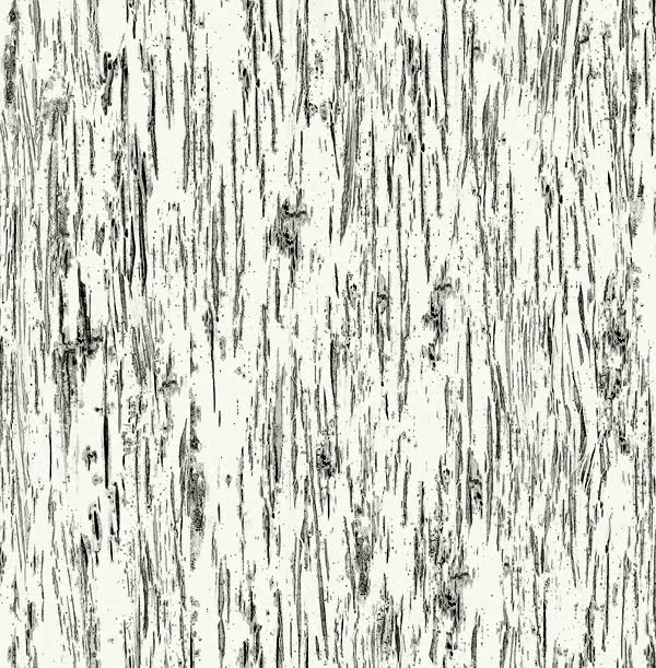 Destination USA TH50408