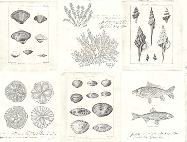 Destination USA TH50908