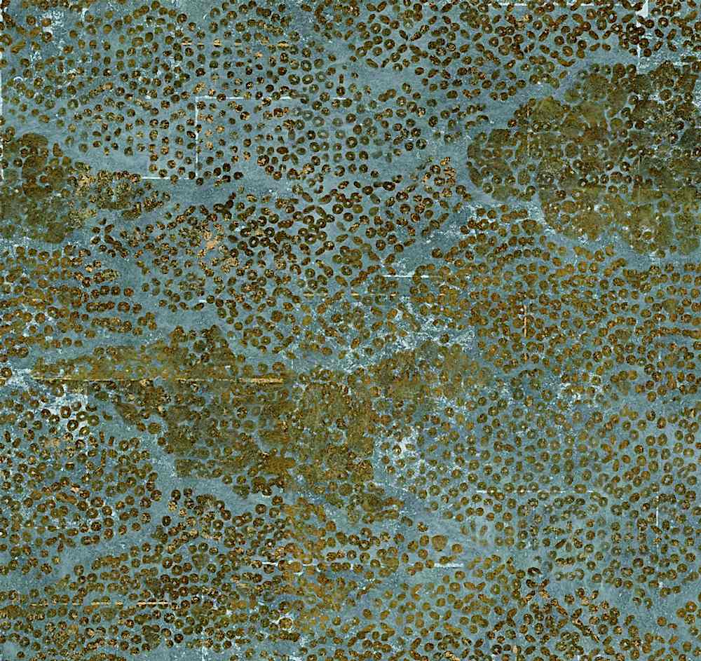 Soleil Levant TP288/02