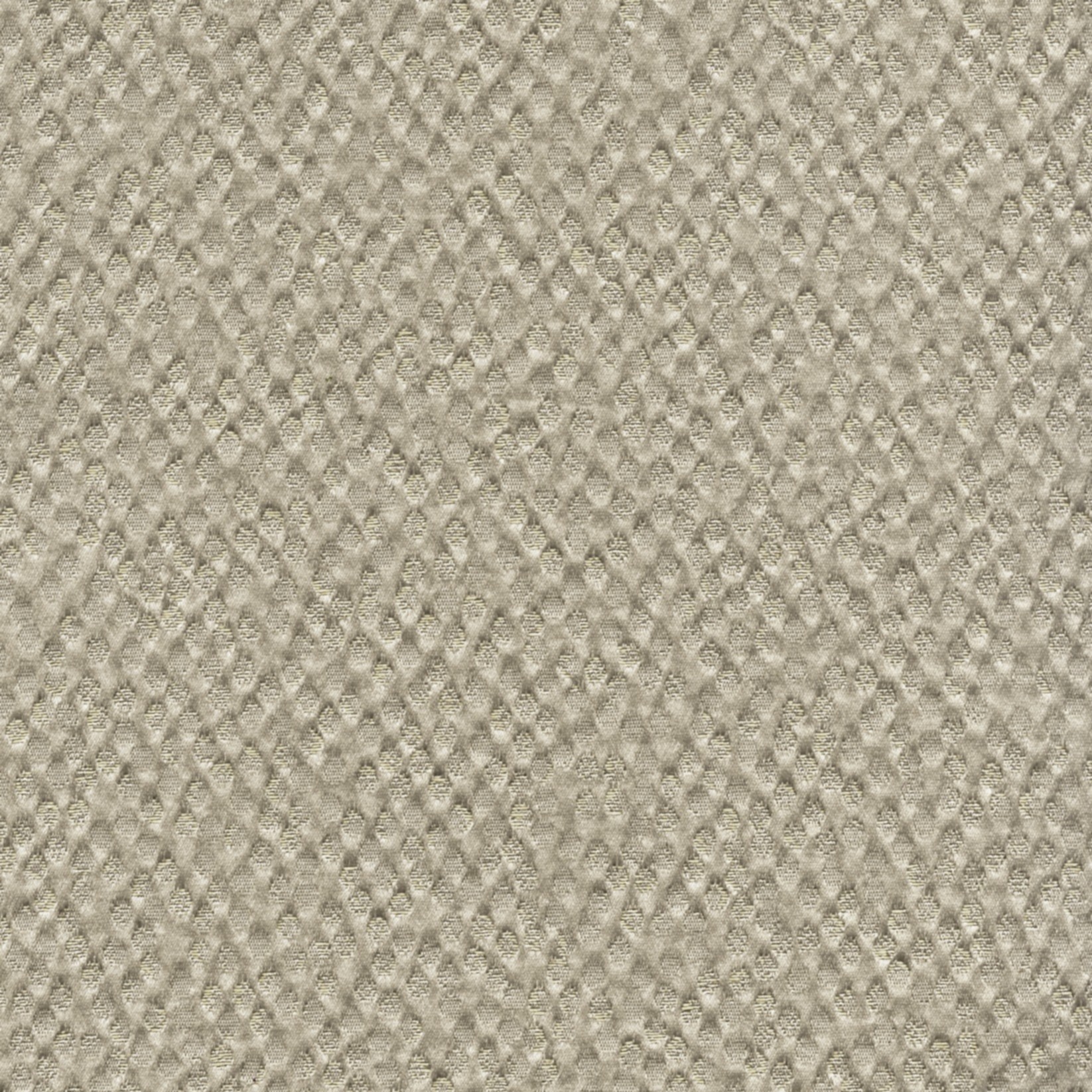 NUITS BLANCHES BELUGA Un destin exceptionnel TV561/05