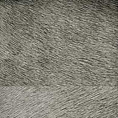 Memoires D.Kağıdı (70cm*10m) VP625/01