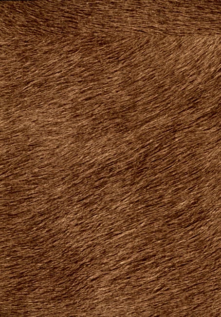 Memoires D.Kağıdı (70cm*10m) VP625/10