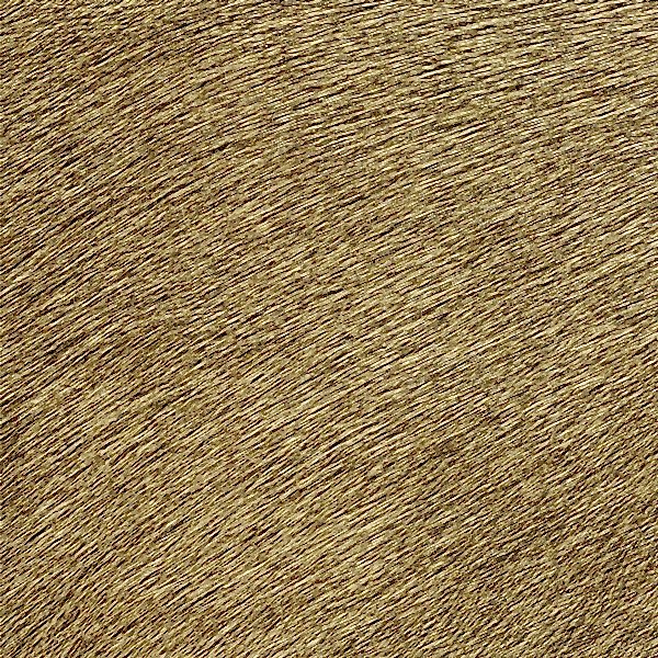 Memoires D.Kağıdı (70cm*10m) VP625/32